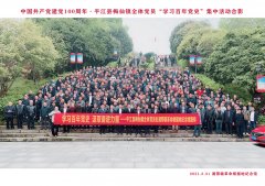 梅仙镇全体党员“学习百年党史”集中活动