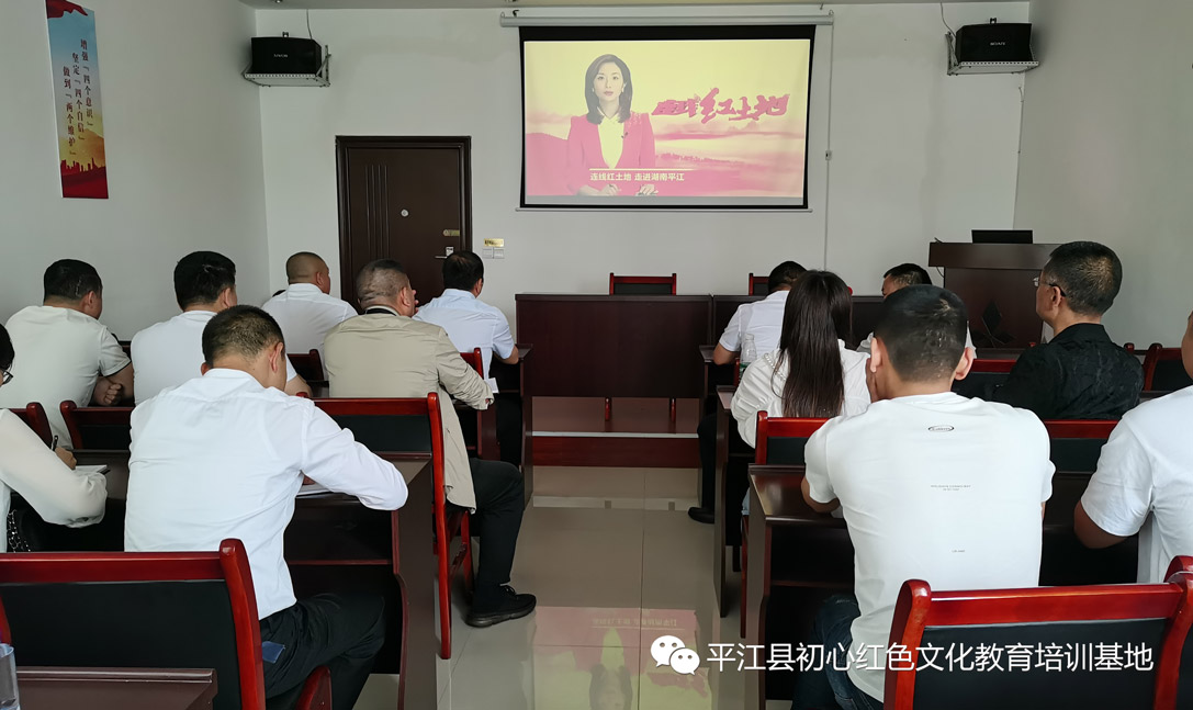 平江党史学习教育实践