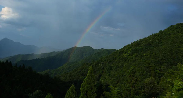 04.jpg