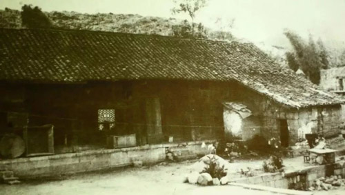 06.jpg