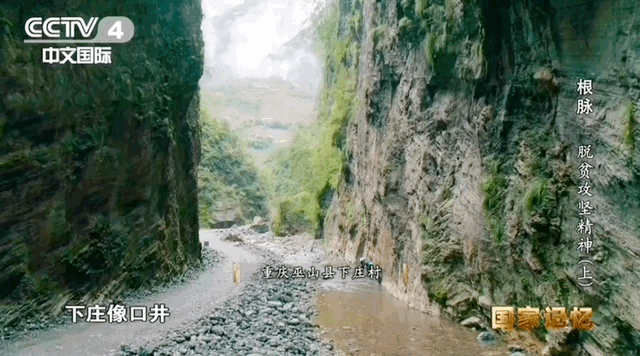 01.gif