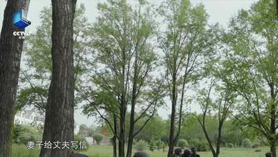 02.gif