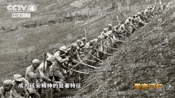 b15.jpg