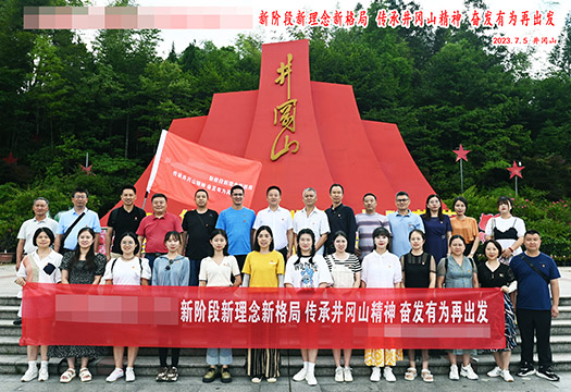 重庆某小学骨干教师主题教育实践活动掠影