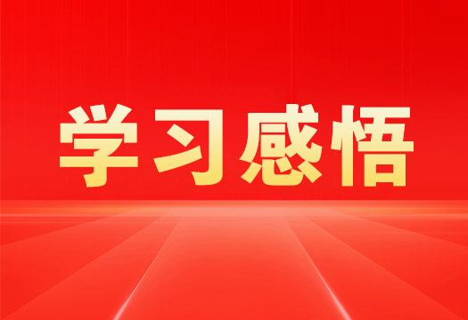 某公司井冈山精神学习感悟(22)
