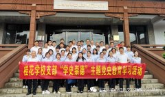 平江县桂花学校党支部党史学习活动