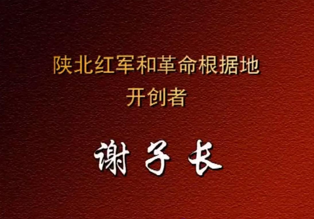 陕北红军和革命根据地开创者谢子长