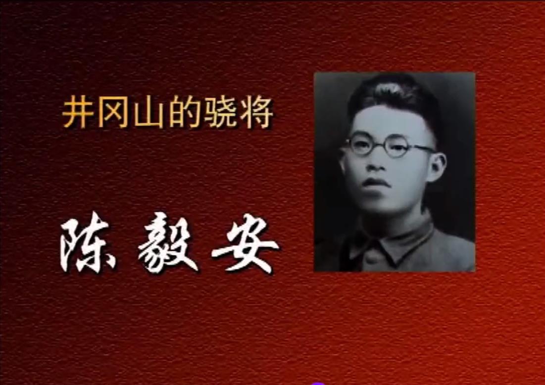 井冈山的骁将——陈毅安