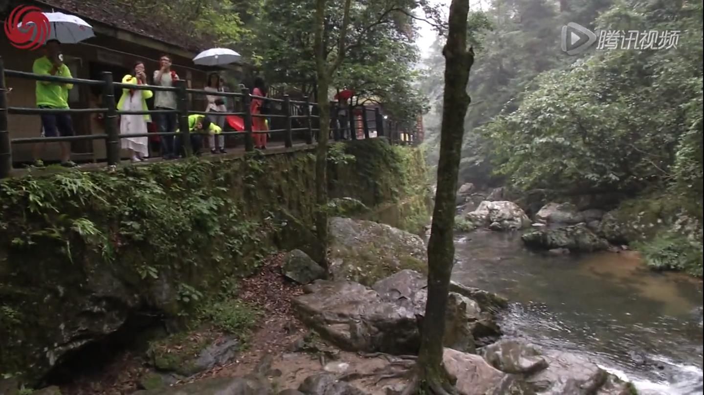 凤凰全媒体走进井冈山探寻红色基因生态之美