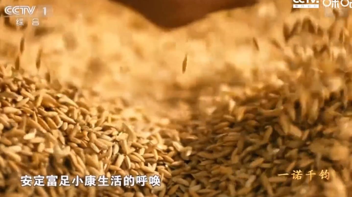 《人民的小康》第一集