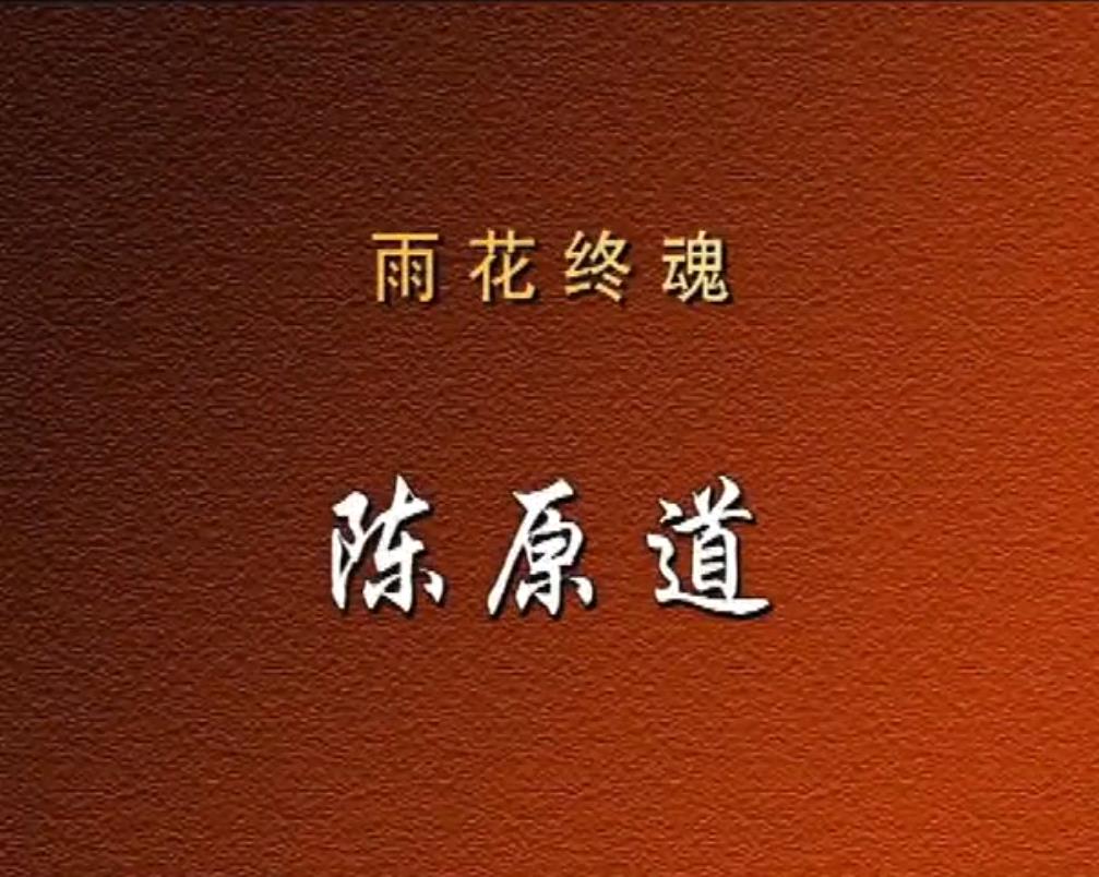 雨花终魂——陈原道